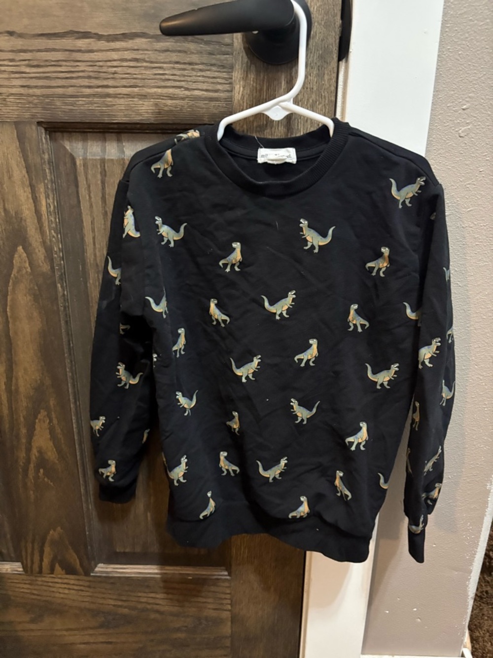 Kids Black Dinosaur Crewneck Sweatshirt